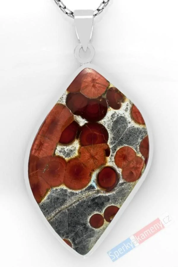 Velký stříbrný přívěsek (Ag 925/1000) s Peanut Wood Jasper QA, cca 50 x 34 mm, "oříšková čokoláda", RARITA (JWP1513P)