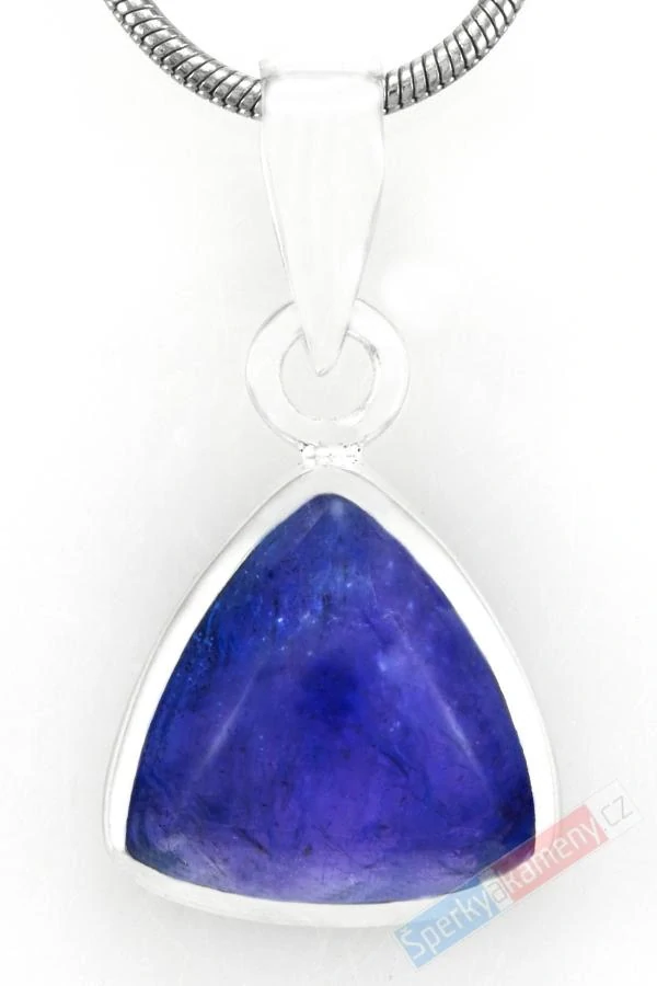 Unisex stříbrný přívěsek (Ag 925/1000) s tanzanitem QAA, cca 15 x 14 mm, nádherná sytá barva, RARITA (TZ1573P)