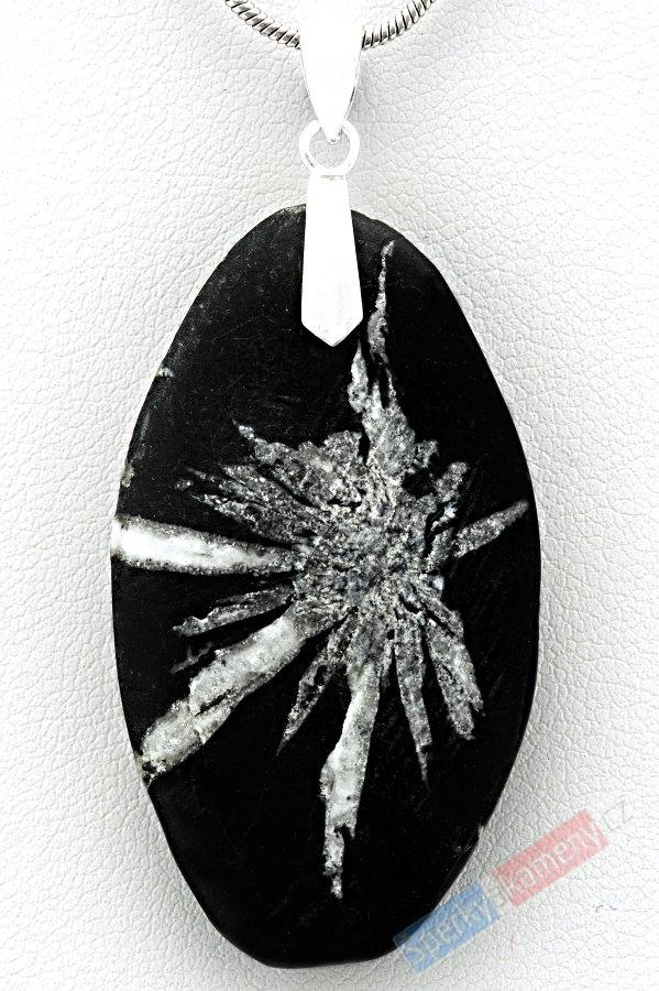 Přívěšek z chryzantémového kamene QA, kapka cca 43 mm, RARITA (CHRZ2422P)