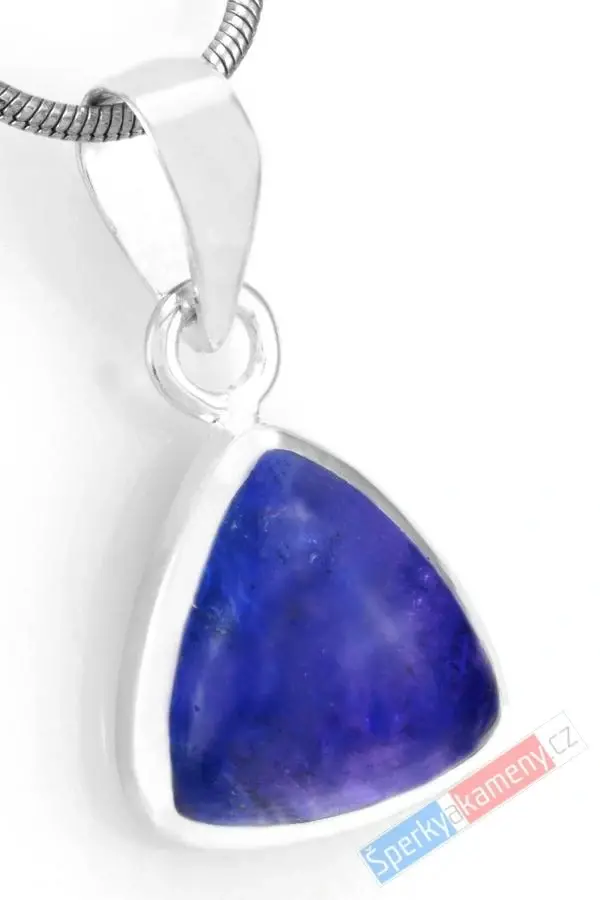 Unisex stříbrný přívěsek (Ag 925/1000) s tanzanitem QAA, cca 15 x 14 mm, nádherná sytá barva, RARITA (TZ1573P)
