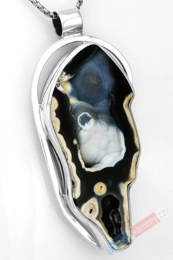 Extra velký stříbrný přívěsek (Ag 925/1000) s korálovcem QAA, cca 68 x 34 mm, "obrazy zkamenělé krásy z floridských hlubin", RARITA (KV3751P)