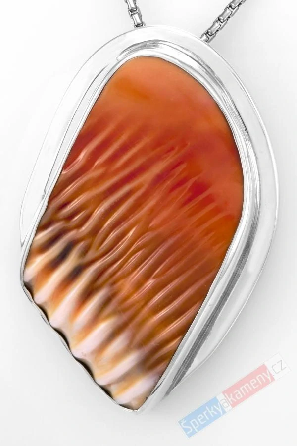 Velký stříbrný přívěsek (Ag 925/1000) se vzácnou mušlí Cypraea Cassis Rufa QA, cca 58 x 38 mm, RARITA (CR2965P)