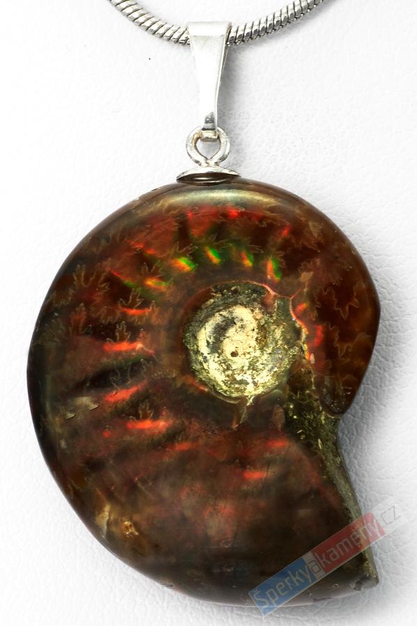Unisex přívěšek z amonitu s kousky amolitu QA, cca 37 x 22 mm, stříbro Ag 925/1000 (ALM1210P)