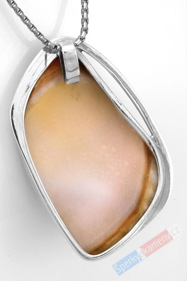 Velký originální stříbrný přívěsek (Ag 925/1000) se vzácnou mušlí Cypraea Cassis Rufa QA, cca 56 x 35 mm, RARITA (CR5501P)
