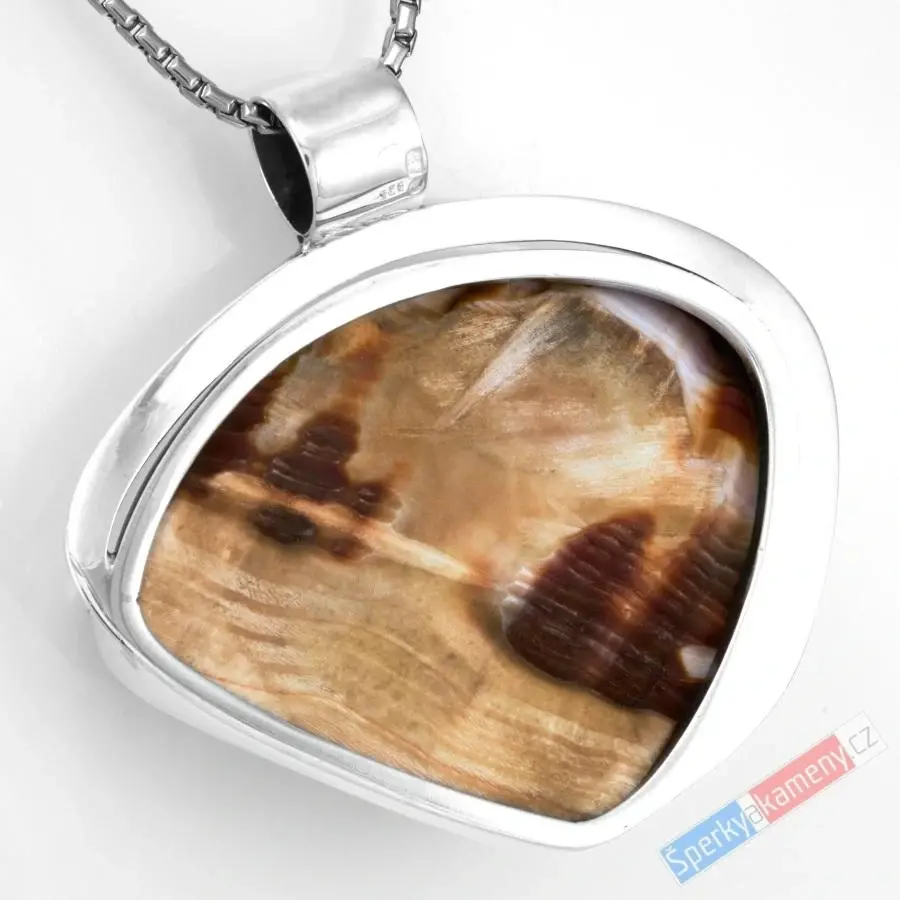 Velký stříbrný přívěsek (Ag 925/1000) se vzácnou mušlí Cypraea Cassis Rufa QA, cca 40 x 48 mm, "harmonie pro naši duši", RARITA (CR2628P)