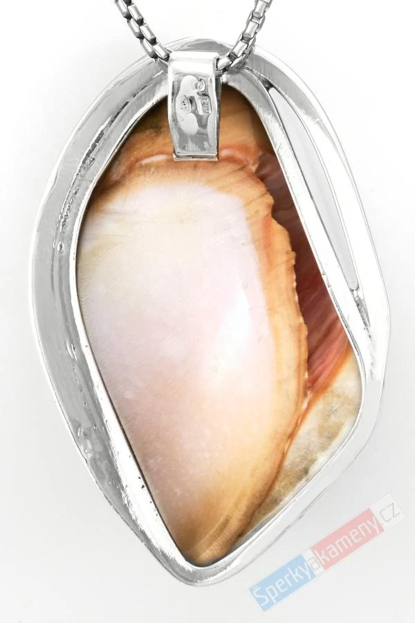 Velký stříbrný přívěsek (Ag 925/1000) se vzácnou mušlí Cypraea Cassis Rufa QA, cca 58 x 38 mm, RARITA (CR2965P)