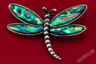 Brož z perleti paua ve tvaru vážky, cca 53 x 38 mm (BP1028V)