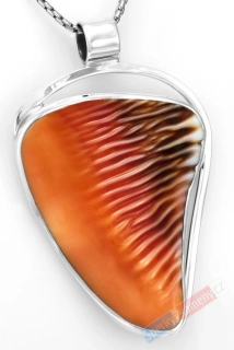 Velký originální stříbrný přívěsek (Ag 925/1000) se vzácnou mušlí Cypraea Cassis Rufa QA, cca 55 x 40 mm, RARITA (CR5502P)